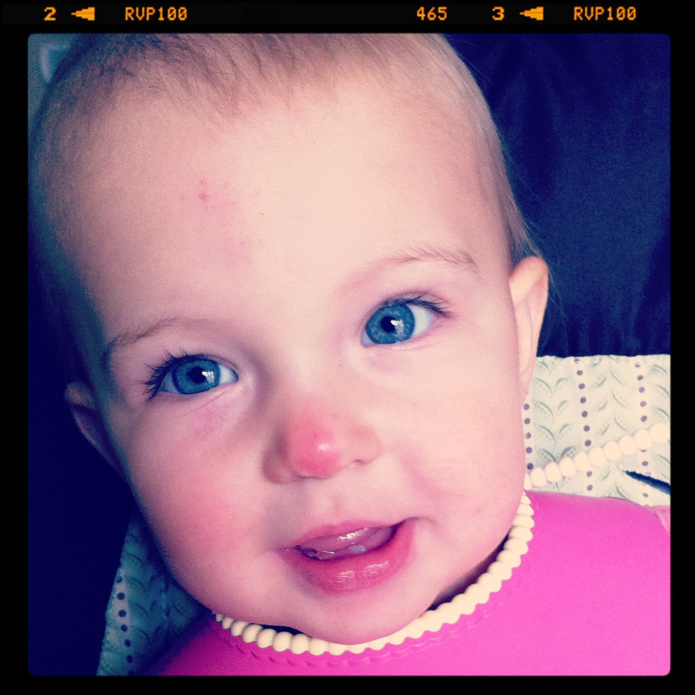 The Higgins Family Embry 50 Weeks