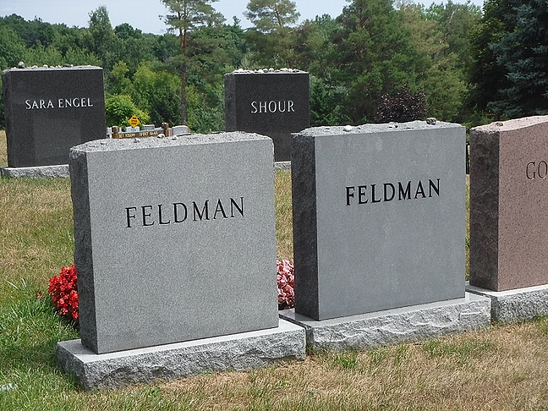 OTIS (Odd Things I've Seen) RIP, Lost Boy The Grave of Corey Haim