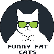 Funny Fat Cat