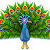 El Pavo Real, el Guarda y el Loro Fabula de Rafael Garcia Goyena