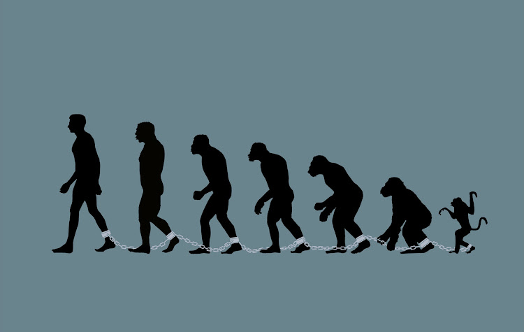 Evolución Evolución