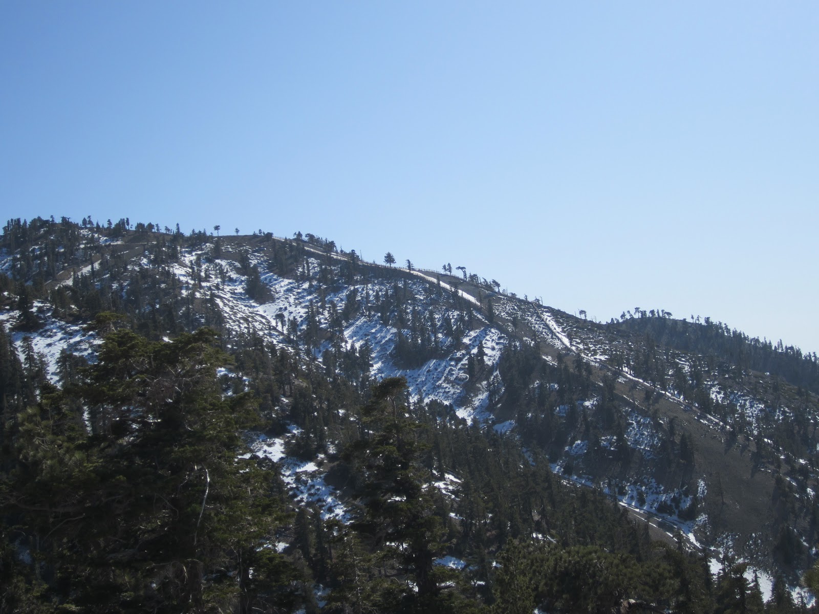 The Road I Traveled Mt. Baldy Snow Tubing