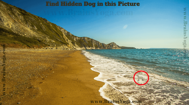 Answer of Hidden Dog Picture Puzzle