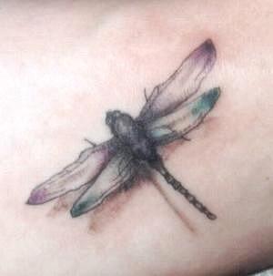 tatto: Awesome Dragonfly Tattoos