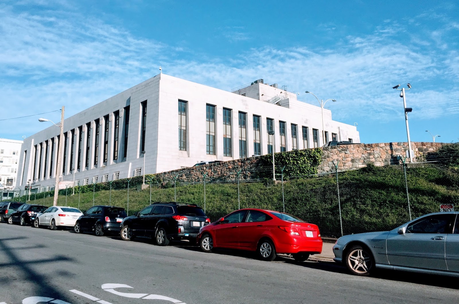 Hills of San Francisco Mint Hill