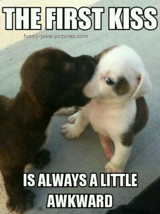 Cute Puppy Dog First Kiss Image Photo Meme
