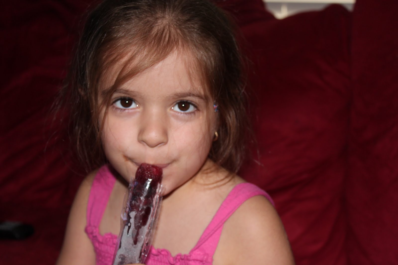 Susan's Disney Family Power of Fruit Bars Review