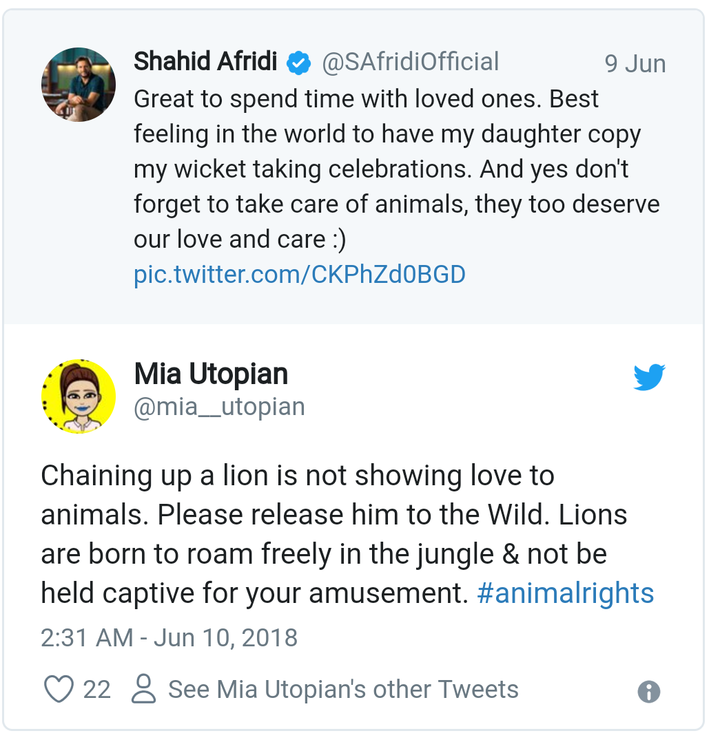 nicknamed boom boom afridi had been a fan favourite since he burst onto the scene in 1996 striking a 37 ball one day century against sri lanka in only nicknamed boom boom afridi had been a fan favourite since he burst onto the scene in 1996 striking a 37 ball one day century against sri lanka in only
