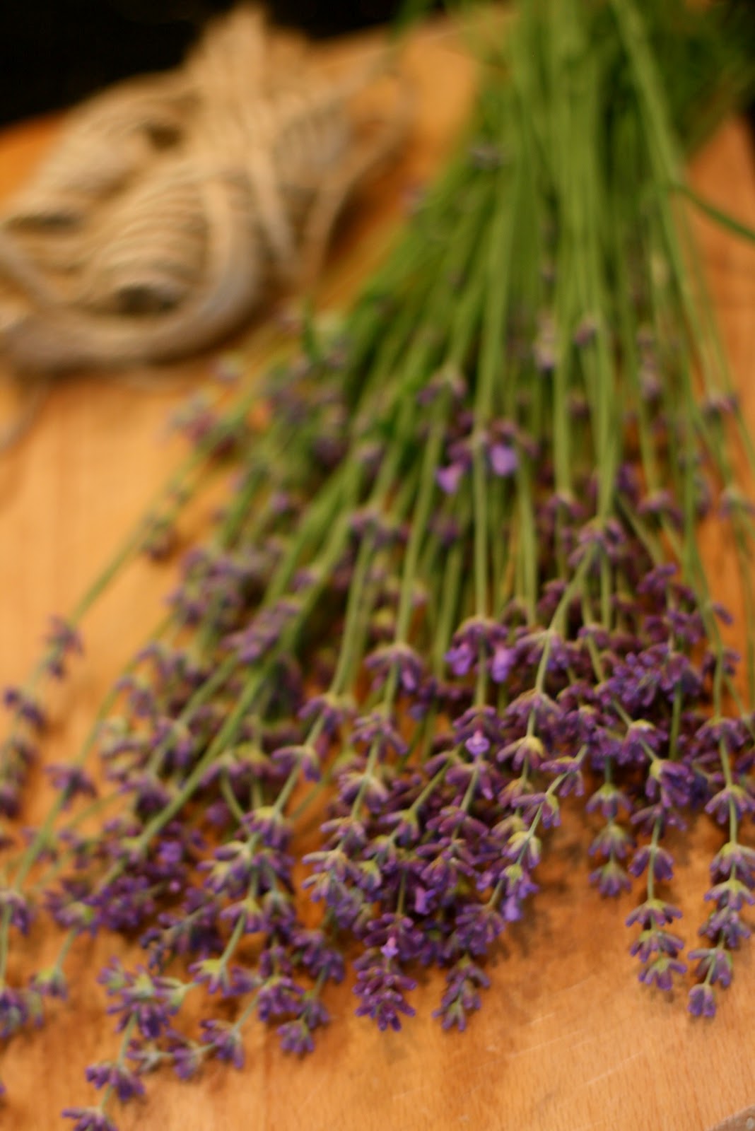 The little backyard farm how to dry lavender