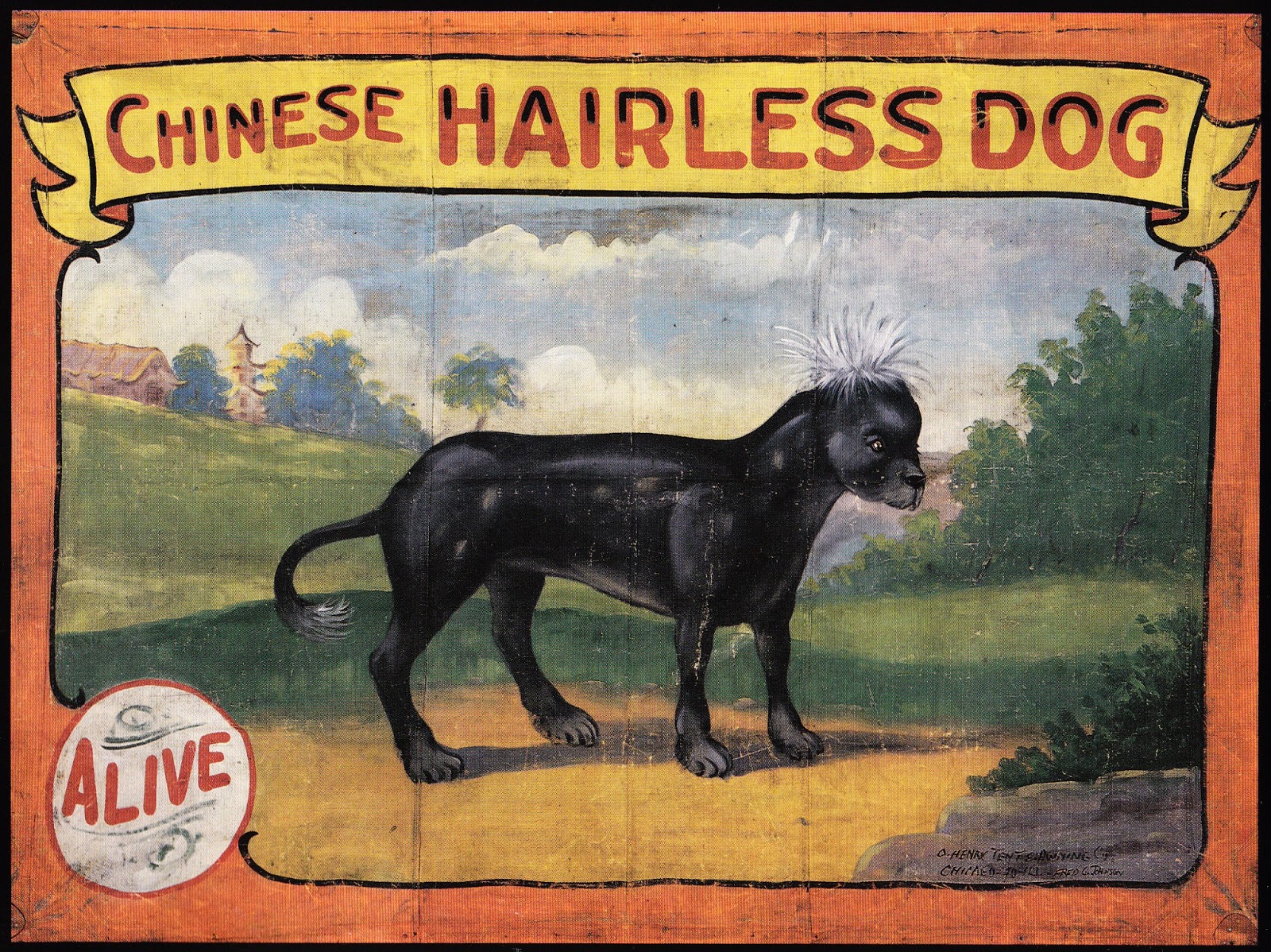 There a funny dog at the circus. Андеграунд животные. electronic circus.