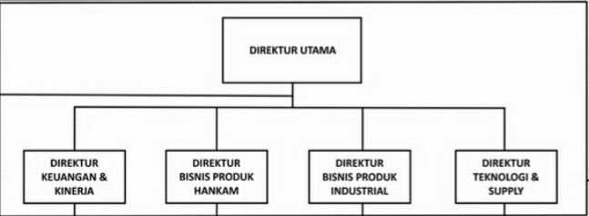 adi pamungkas: Struktur Organisasi Horizontal dan Vertikal PT. Pindad