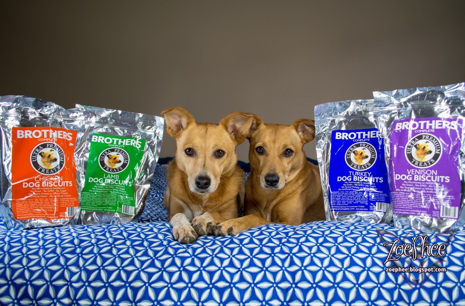 ZoePhee High Protein Biscuits from Brothers Complete!