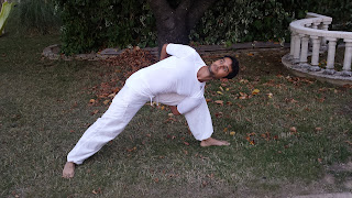Leroux nicolas diplômé Hatha Yoga