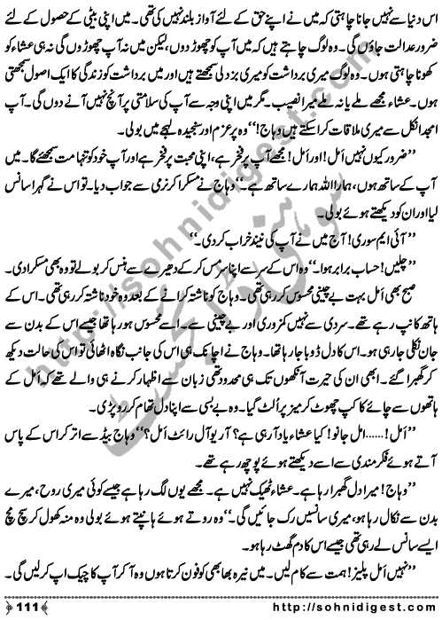 Essays in urdu on different topics pdf image