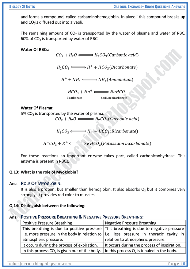 gaseous-exchange-short-question-answers-biology-11th
