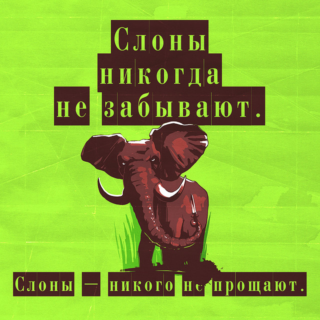слоны ничего не забывают. картинки почему слон умный. анекдоты про php. паю комиксы. правда ли что слоны ничего не забывают.