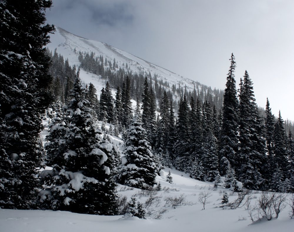 Colorado Lifestyle French Gulch Snowshoe