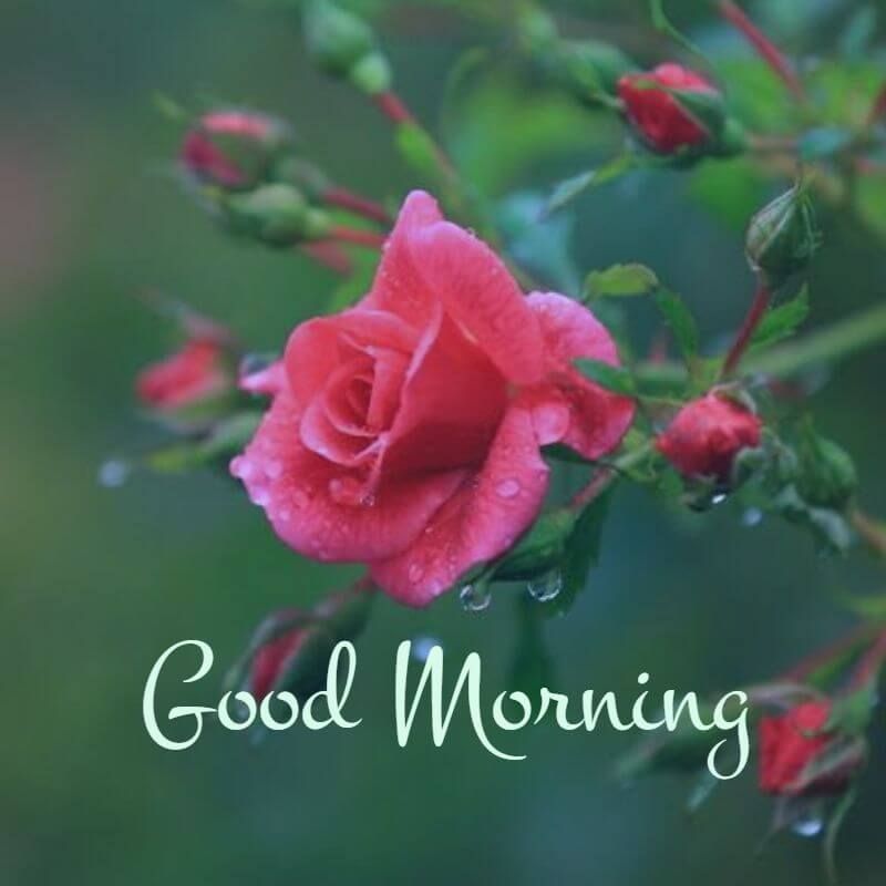 inspirational good morning messages