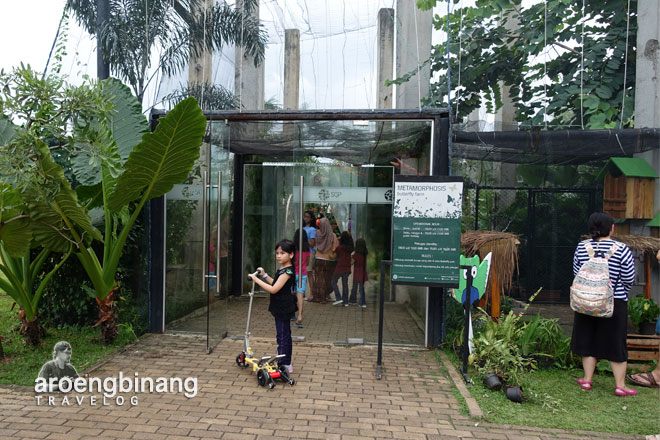 butterfly park scientia square park tangerang