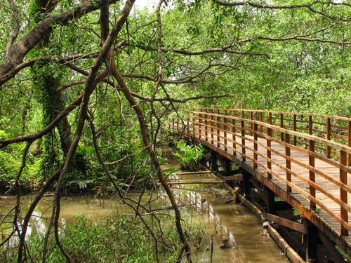 THE ARCHITECT: HUTAN KOTA KEMAYORAN