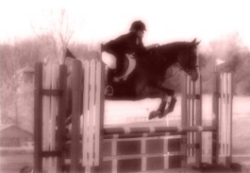 Show Jumping at FENCE Horse Trials