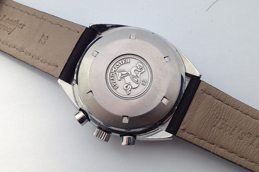 newmans daytona