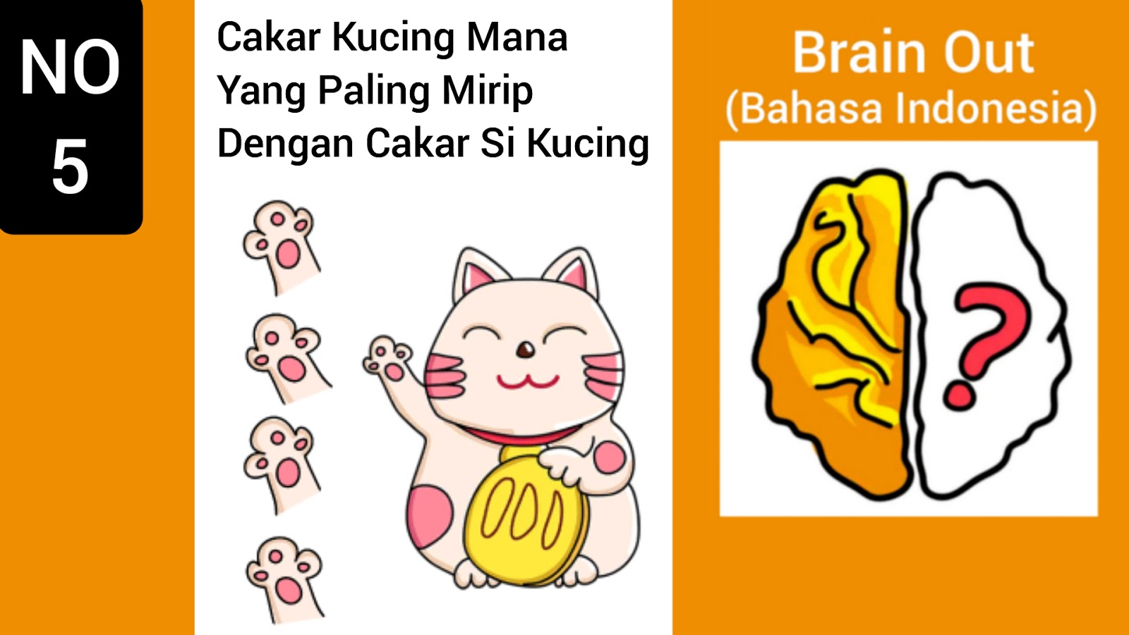 Cakar Kucing Mana Yang Paling Mirip Dengan Cakar Si Kucing