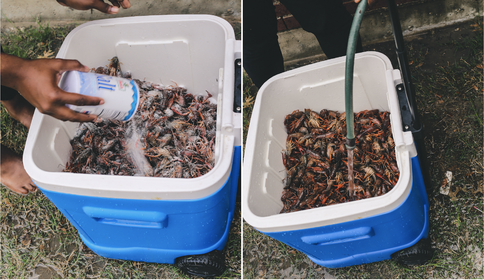 How to Host a Louisiana Style Crawfish Boil 12 easy Steps