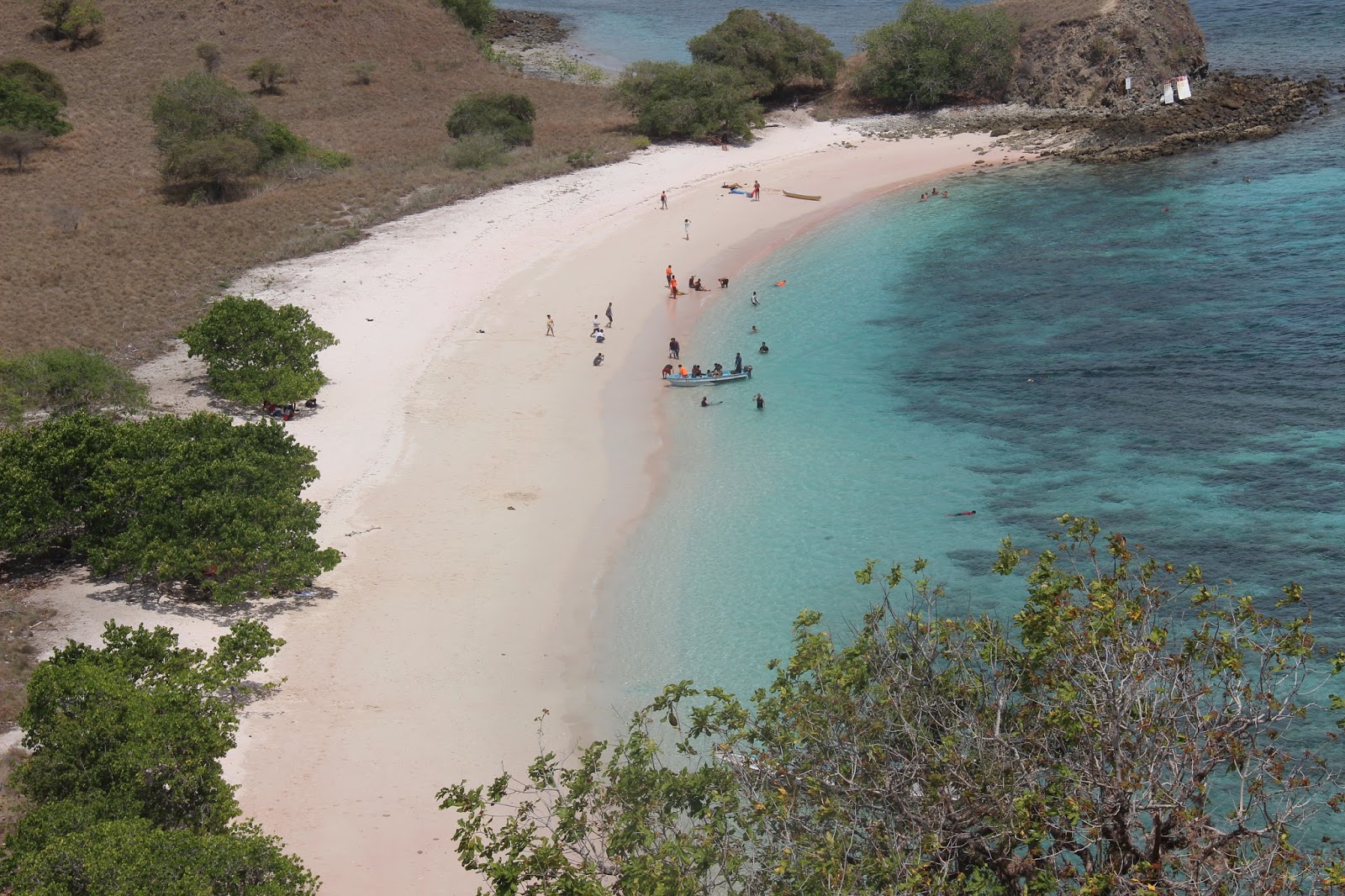 Visit Pinkish Beach, Komodo National Park, Lombok. | Bali Weather