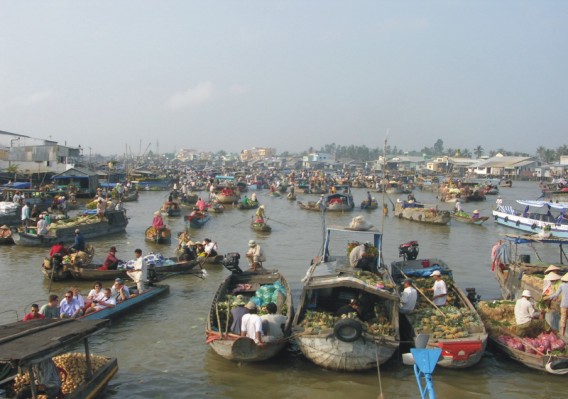 Cợ nổi cái Răng