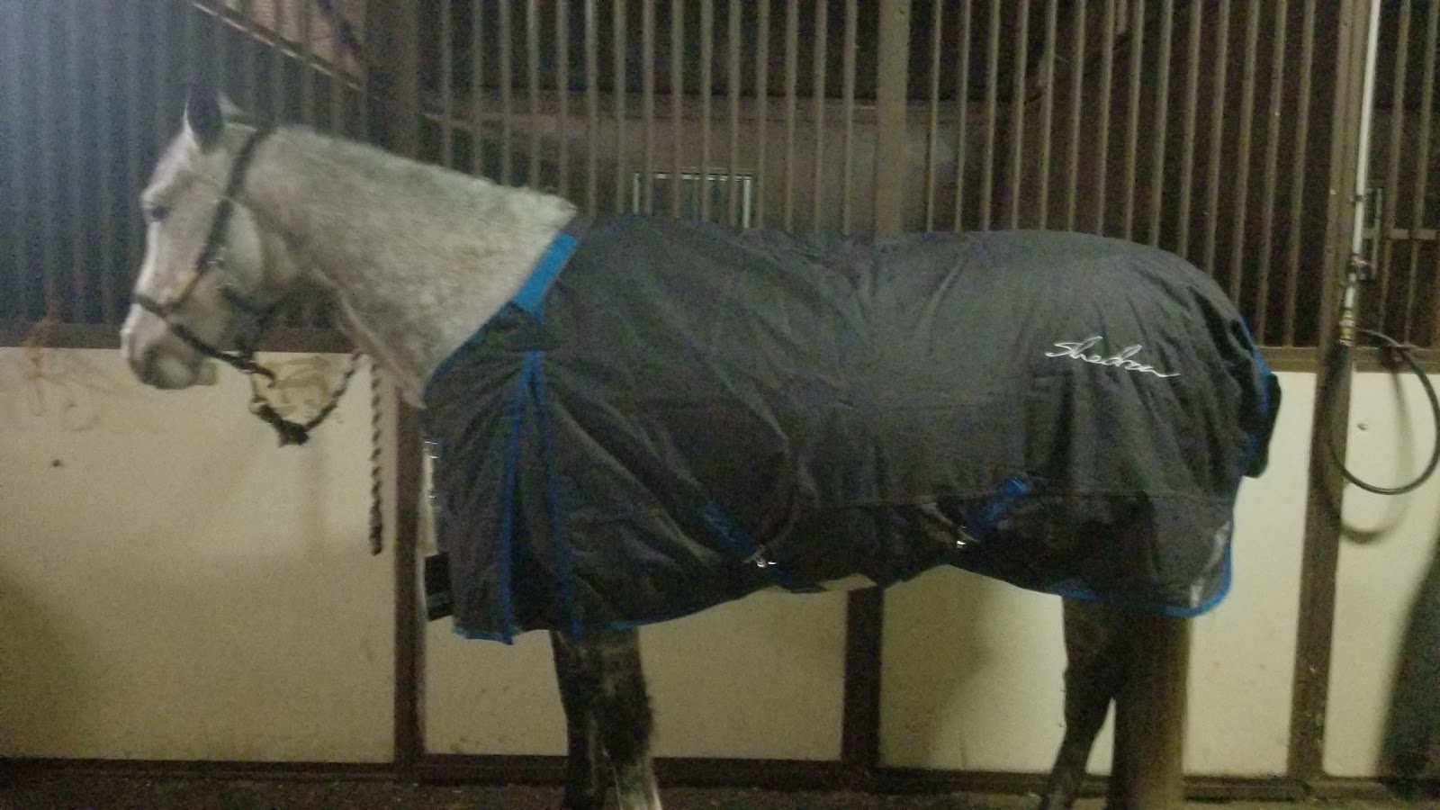 Gray Flannel Horses Greenhawk Shedrow North Combo Turnout Blanket