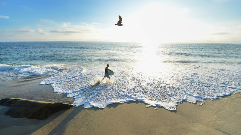 Surfer 2 from San Diego