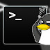 Limpiar el terminal en linux