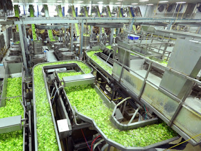  Food Processing Industry