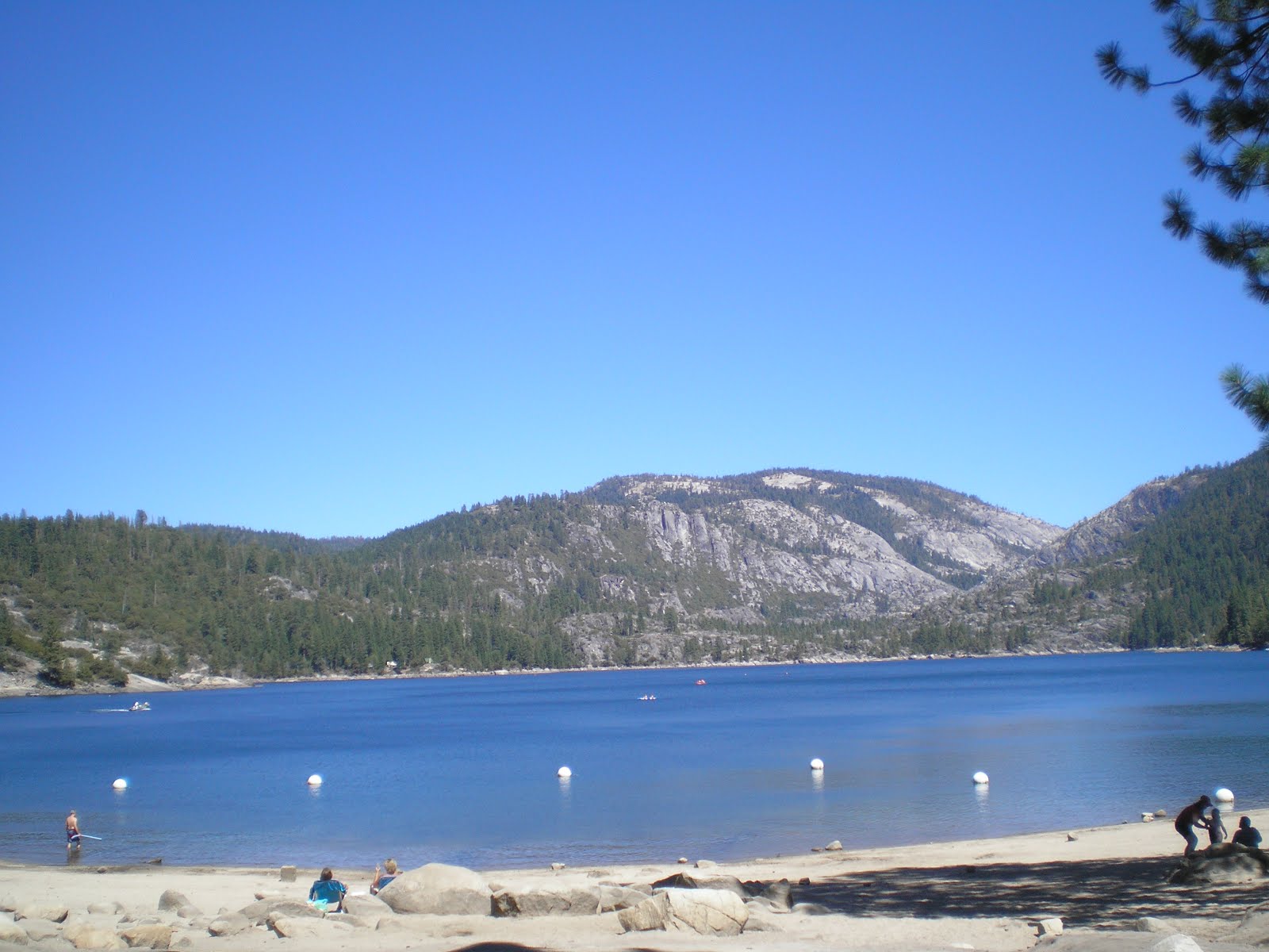 The Road Genealogist Pinecrest & Lyons Lakes, California