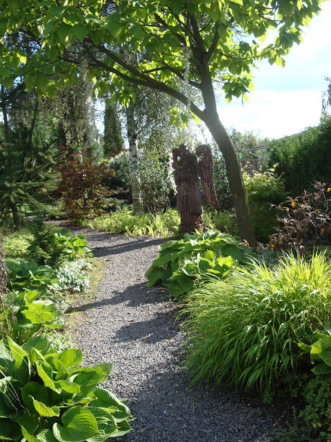 Arboretum w Rykach ścieżka ogród pokazowy Ryki