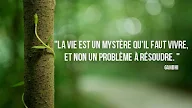 Philosophie De La Vie Citation
