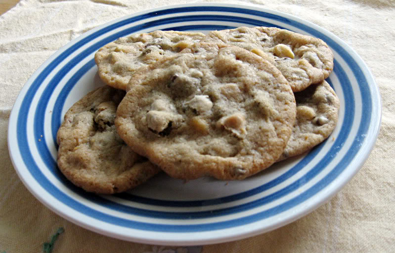Chocolate Chip Cookies (version 3) by freshfromthe.com