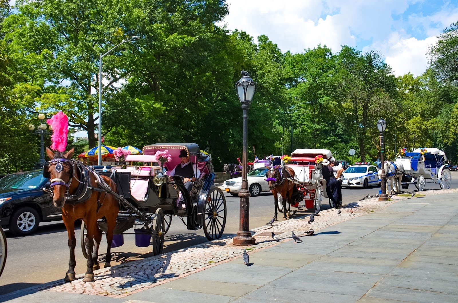 horse and carriage ride central park