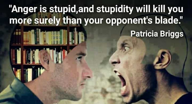 Anger-is-stupid-stupidity-quotes-brainless