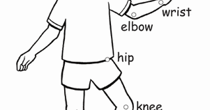 Seneca School - Year 1 - Science / English: NS - The human body - Joints