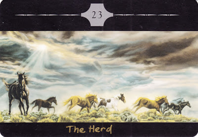 Rowan Tarot: Way of the Horse: The Herd