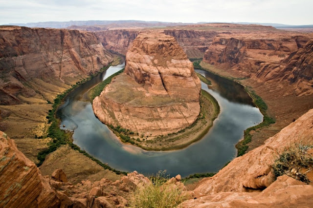 Wikimedia_Commons_Picture-of_the_Year_18.jpg