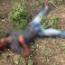 Homem é encontrado morto entre Várzea do Meio e Poço do Quilombo, município de Várzea da Roça