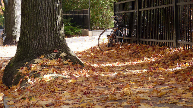 otoño en Boston