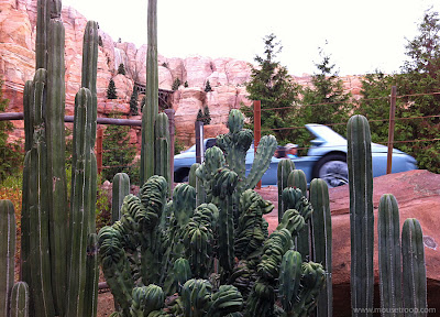 Radiator Springs Racers cactus cacti queue line