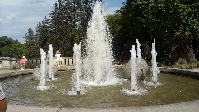 20170710_150559.jpg