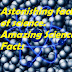 Amazing Facts of Science