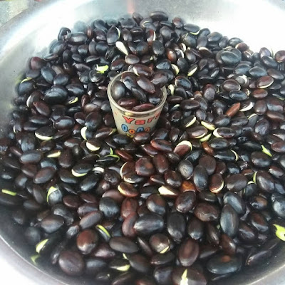 Tree Bean/Bitter Bean Chutney