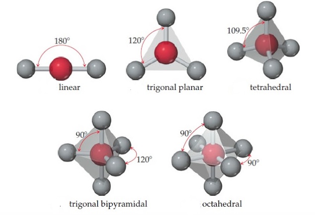 Summary of molecular geometry of molecules without lone pair on the central...